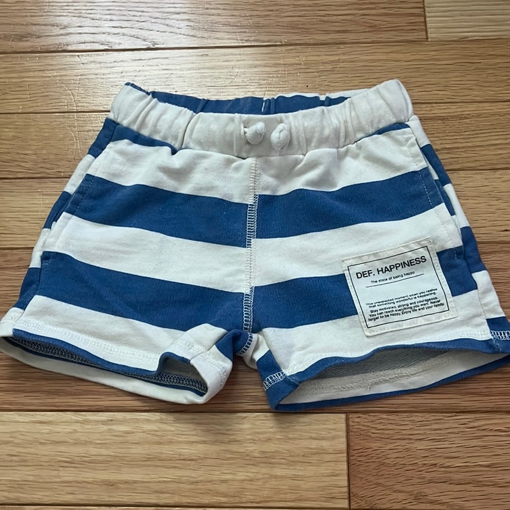 Zara shorts